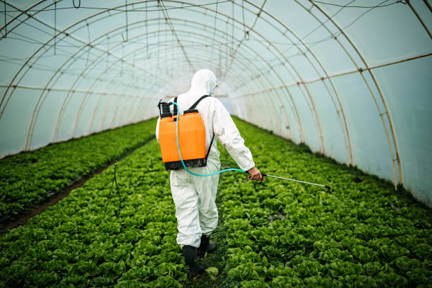 Professional Pest Control in Eggertsville, NY