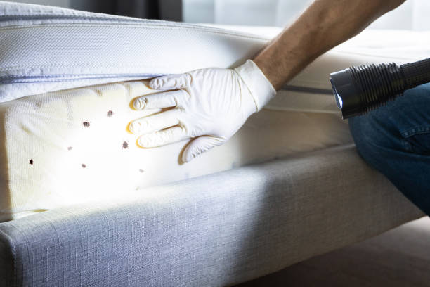 Best Commercial Pest Control Services  in Eggertsville, NY