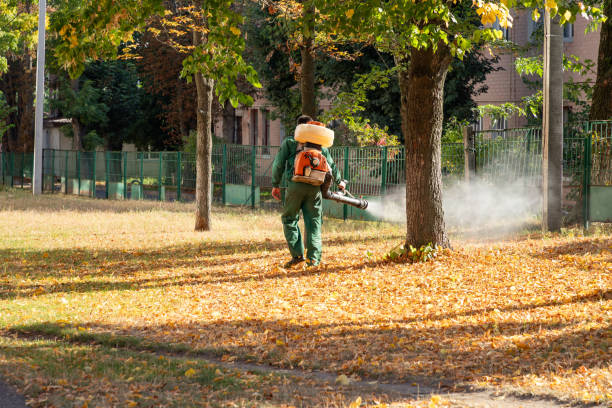  Eggertsville, NY Pest Control Pros